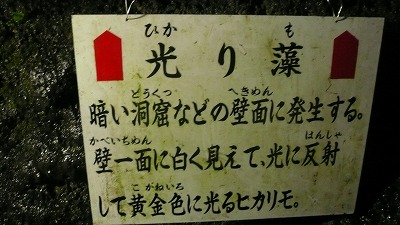20080526 駒門風穴 光藻