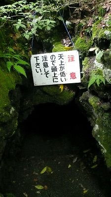 20080526 御胎内洞窟 入口