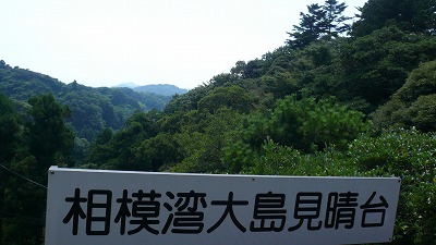 20080726 ³ùÁҥϥ¤¥¥ó¥° ÁêÌÏÏÑÂçÅ¸Ë¾Âæ