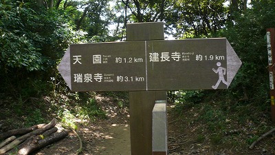 20080726 ³ùÁҥϥ¤¥¥ó¥° Ω¤Æ»¥