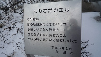 090111 ももさだカエル