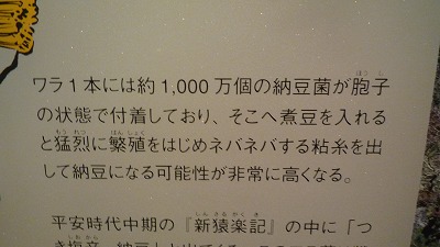 納豆博物館 説明