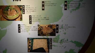 納豆博物館 世界の納豆