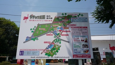 ダチョウ王国