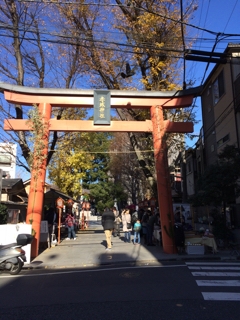 iPhoneImage.png