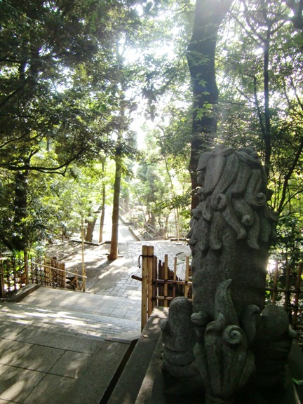 渋谷氷川神社狛犬