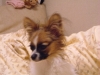 ¤¤ç¤¦¤â¤Í¤à¤¤¤ï¤¡Zzz¡