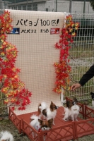 記念撮影。