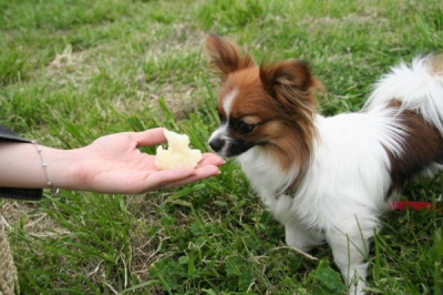じゃがいもケーキ♪