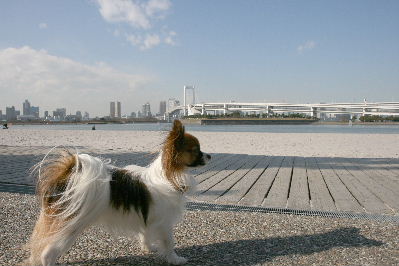 お台場海浜公園