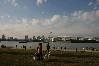 海浜公園