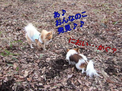 vivi的ごあいさつ・その1