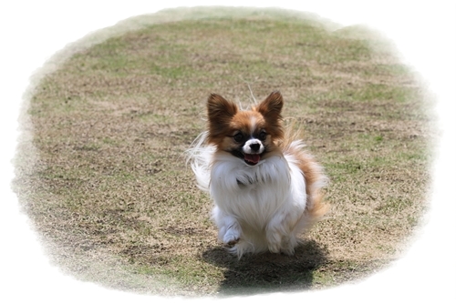 たのちぃね♪