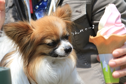 女優!?(笑)