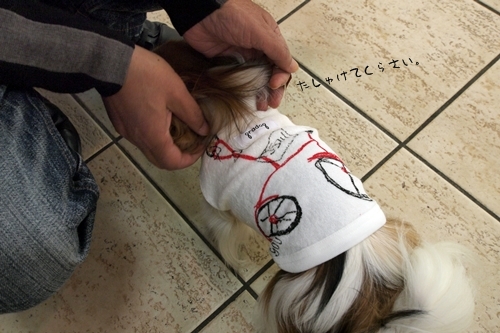 たちけてなの。