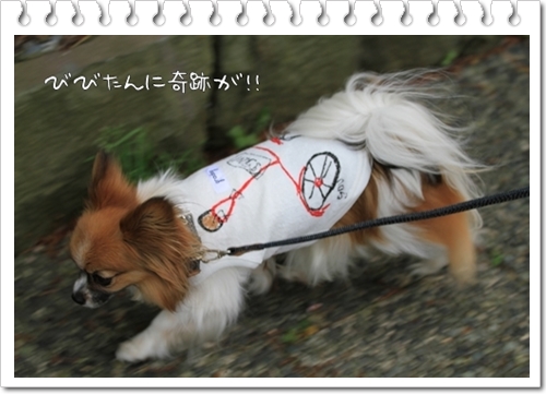 う・・・(涙)