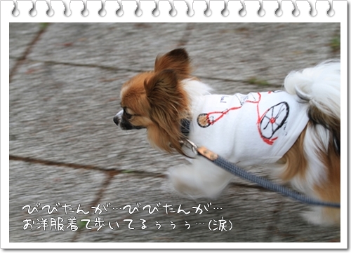うれちぃ・・・(号泣)