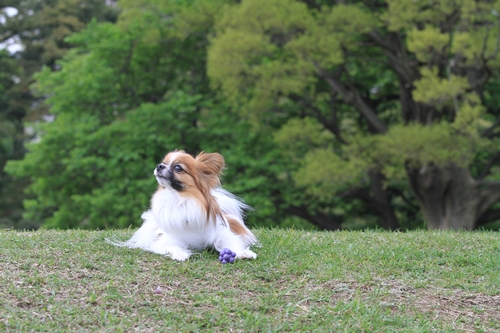 気持ちよさそう♪