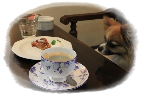カフェタイム♪