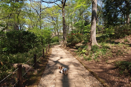 大好きな公園♪