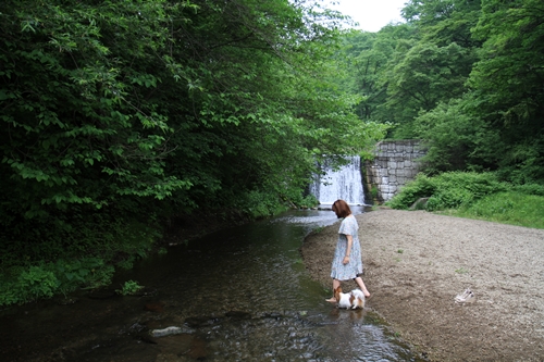 ささ、遊びましょ♪