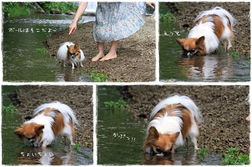 viたんの地味〜な遊び。
