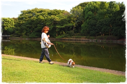 北の丸公園♪