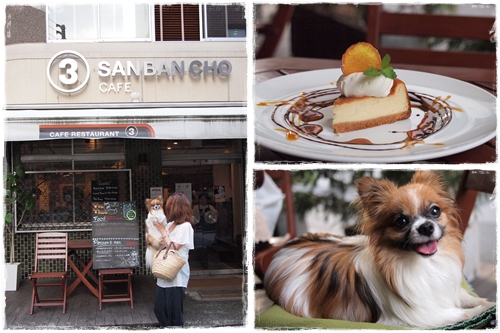 san ban cho cafe♪