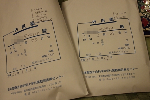 びびたんを、よろしくね♪