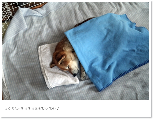 さくちん♪