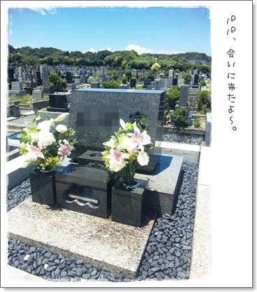 パパのお墓。