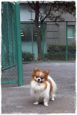 近所〜