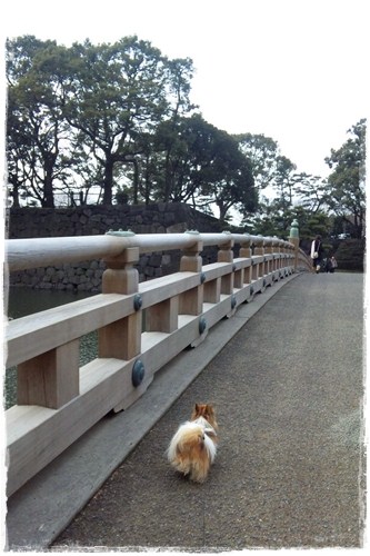 皇居だよ〜