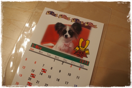 20130404_211430.JPG