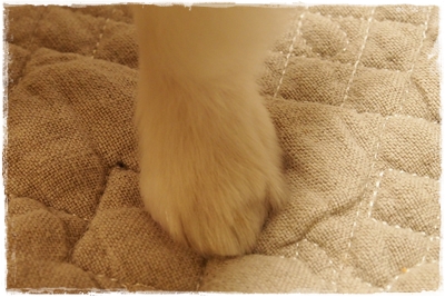 20130404_214859.JPG