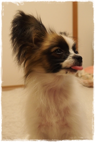 20130404_215039.JPG