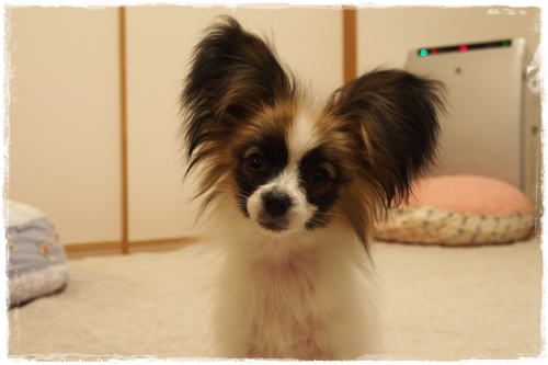20130404_215043.JPG