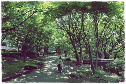 20130506_103055.JPG