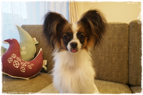 20130530_180414.JPG