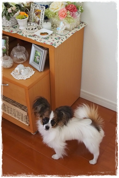 20130603_172451.JPG