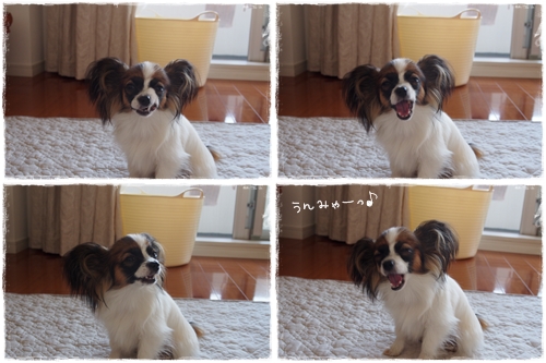 20130603_172718_00.jpg