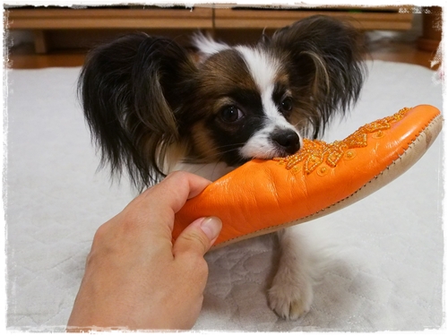 20130603_201606.JPG