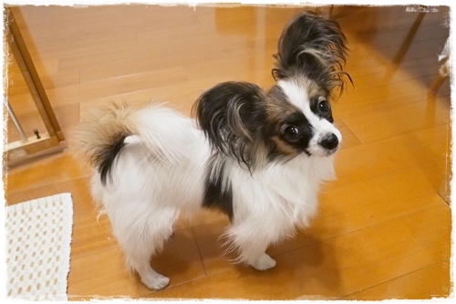 20130603_203736.JPG