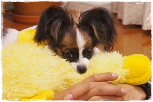 20130603_222908.JPG