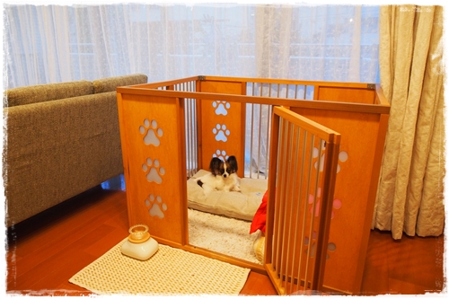 20130611_184150.JPG