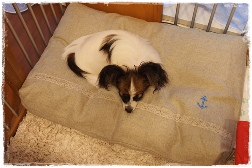 20130611_184340.JPG