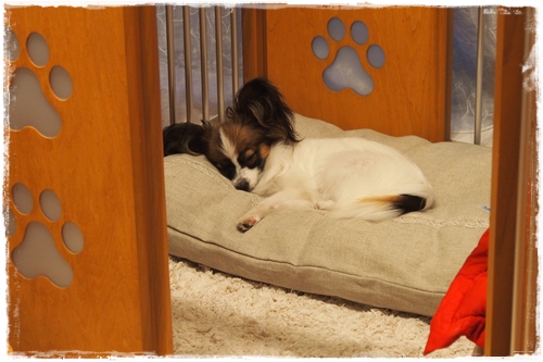 20130611_190111.JPG