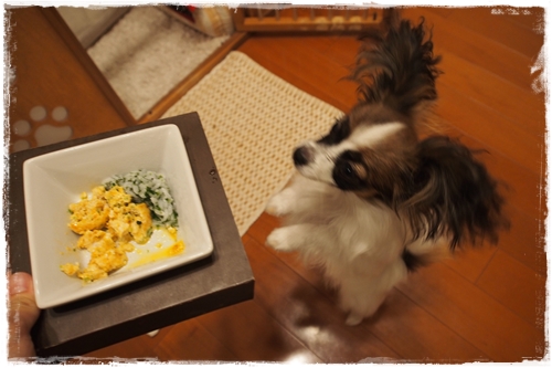 20130612_205919.JPG