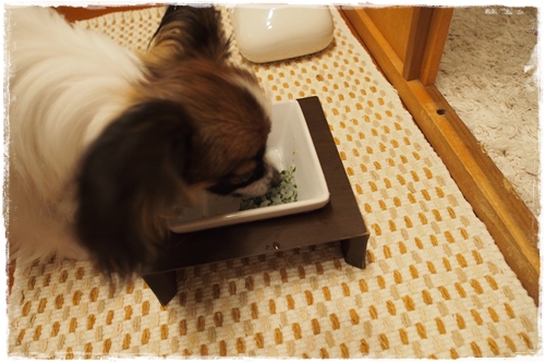 20130612_210053.JPG