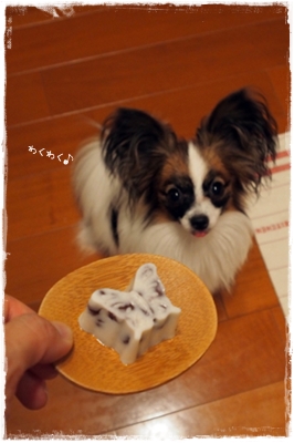 20130724_215710.JPG